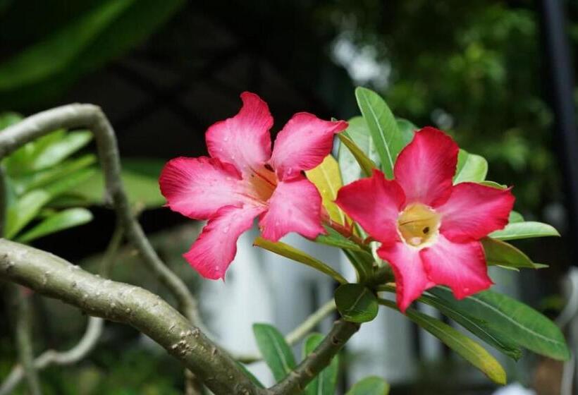 Отель Vimean Sovannaphoum Resort