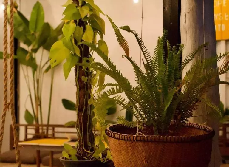 호텔 Vimean Sovannaphoum Resort