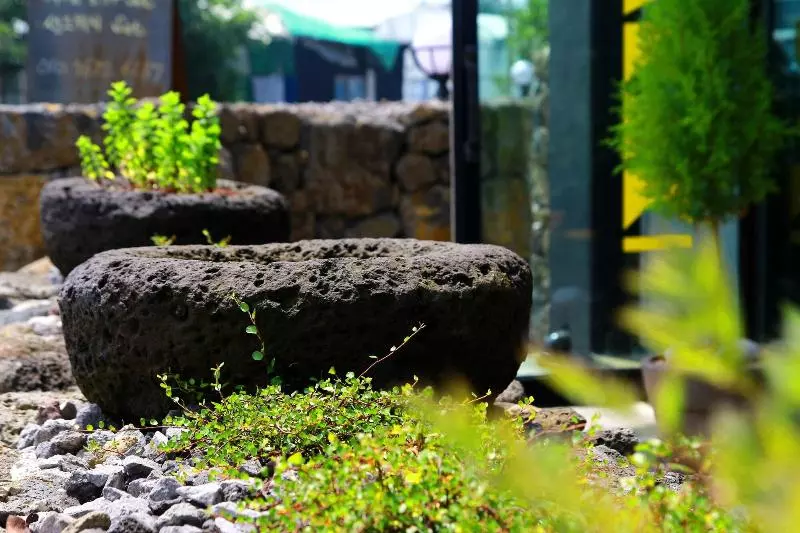 ペンション Jeju Baraki
