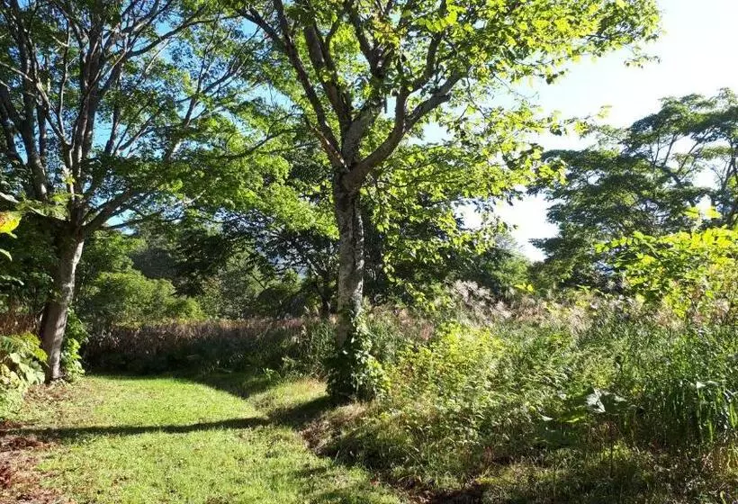 住宿加早餐 Bistare Kana