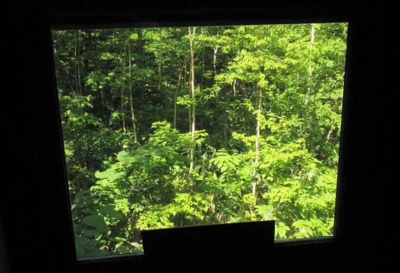 住宿加早餐 Bistare Kana