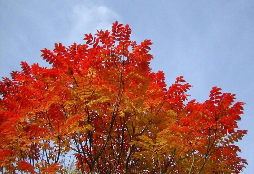 צימר Bistare Kana