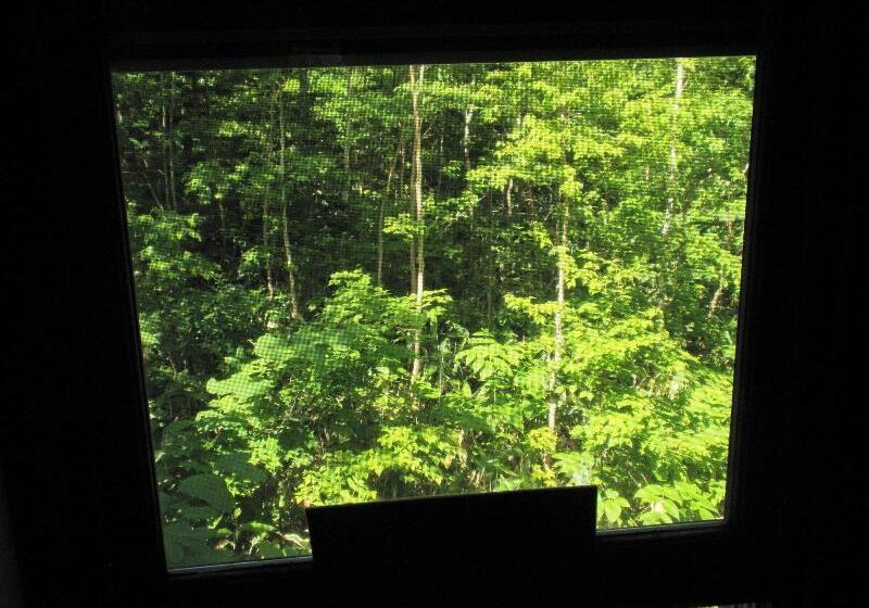 צימר Bistare Kana