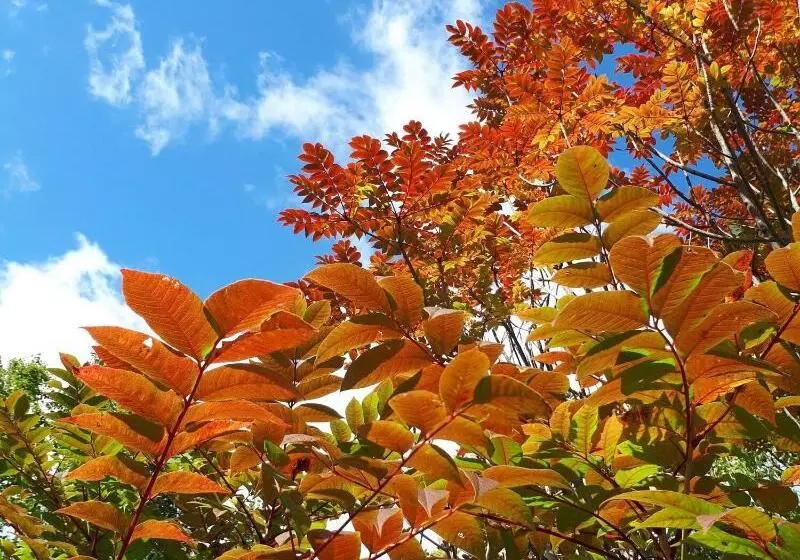 住宿加早餐 Bistare Kana