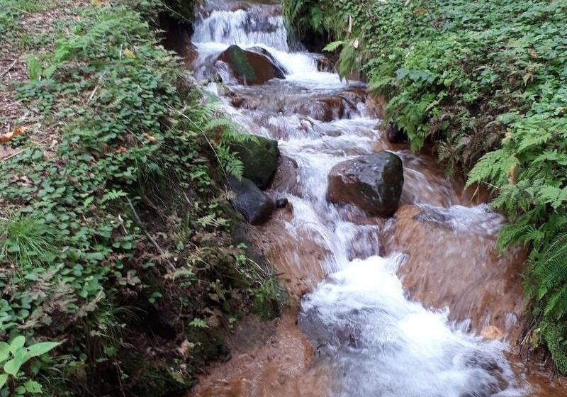 צימר Bistare Kana