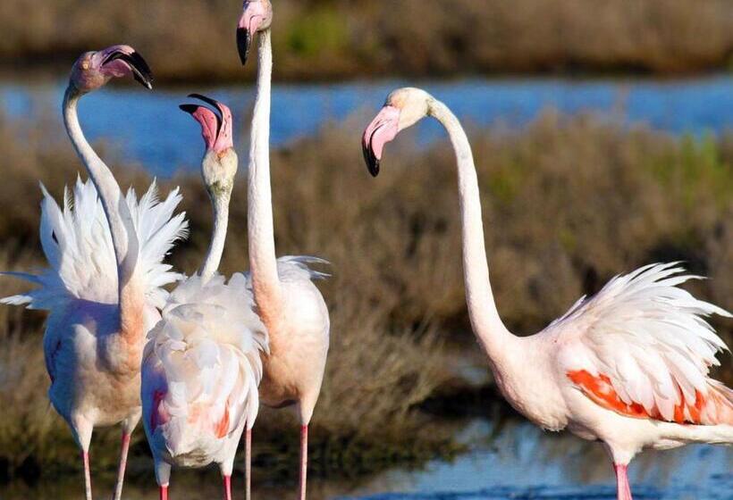 فندق Europa Park