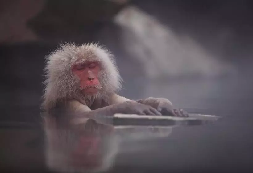 בית מלון כפרי Onyado Hishiya Torazo