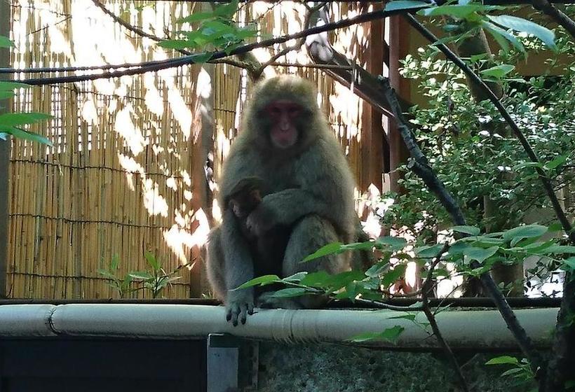 בית מלון כפרי Onyado Hishiya Torazo