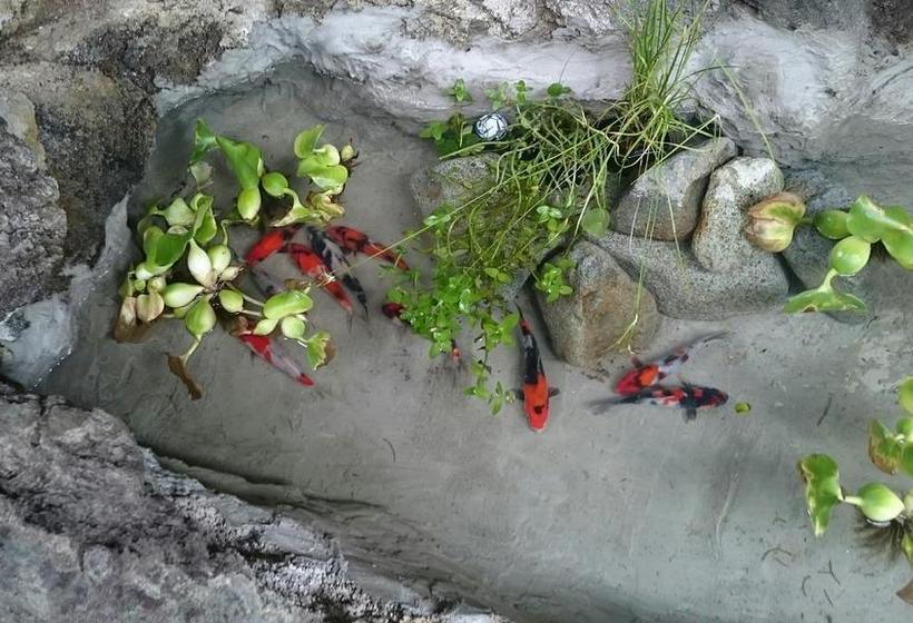 בית מלון כפרי Onyado Hishiya Torazo