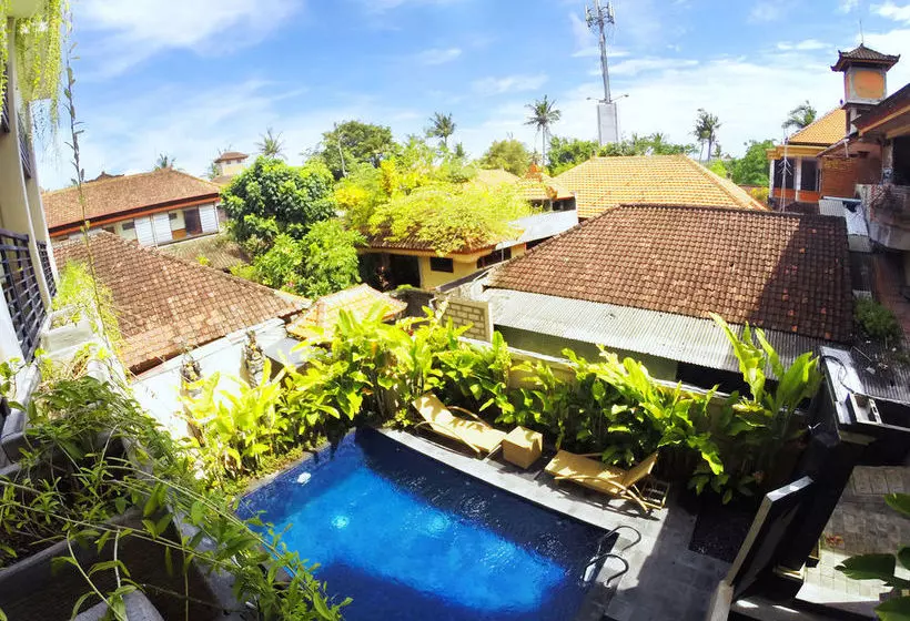 ホテル Lucky's Guest House