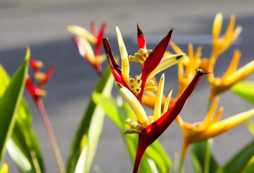 هتل Seremban Jaya