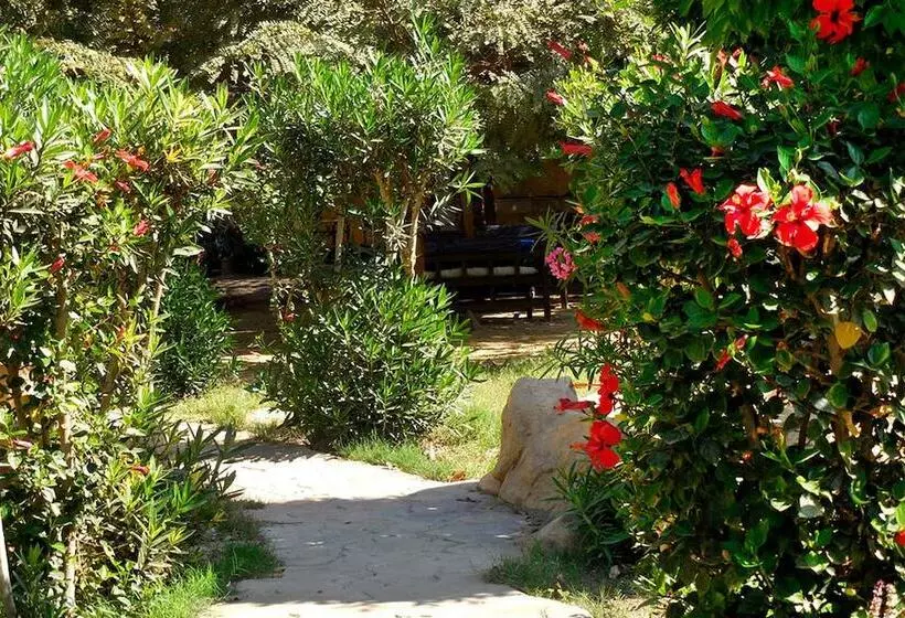 هتل Sheherazade Luxor