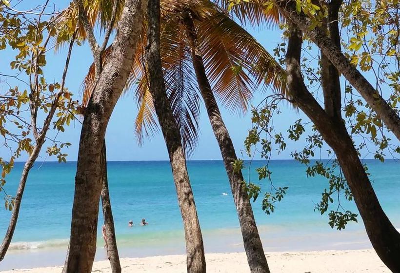 La Villa Du Panoramique