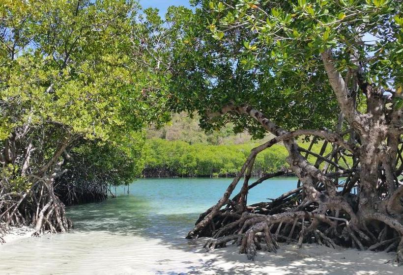 La Villa Du Panoramique