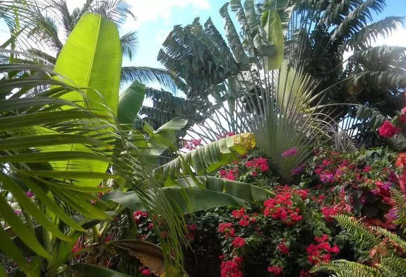 La Villa Du Panoramique