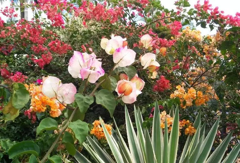 La Villa Du Panoramique