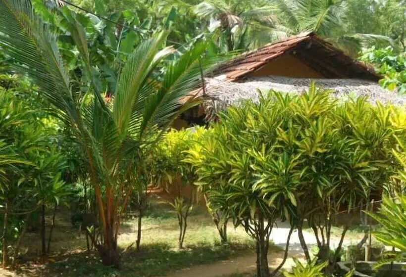 Natural Cabanas
