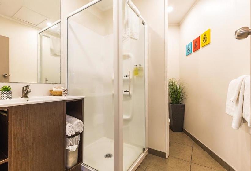 Rotovegas Motel Of Rotorua