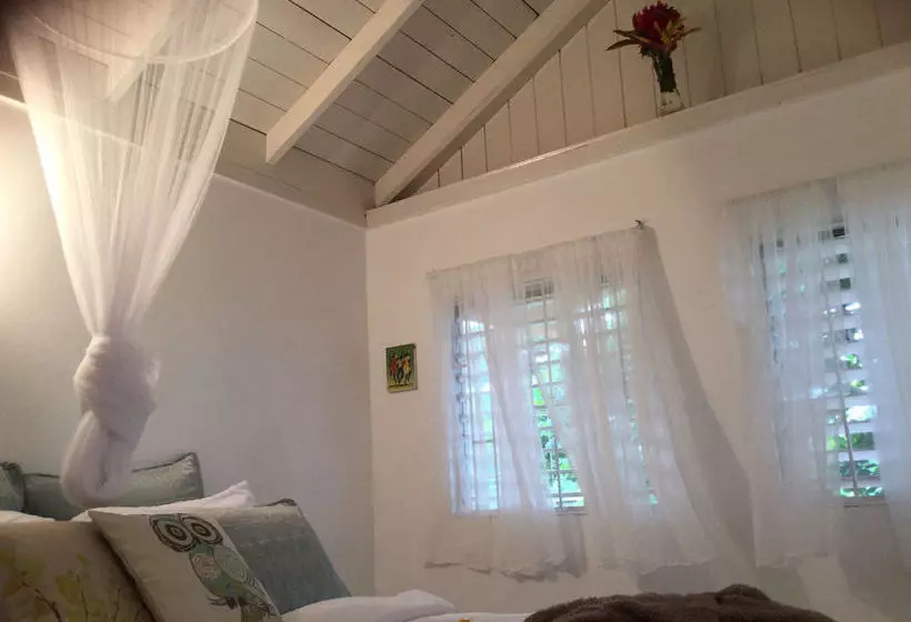 The Sun & Rain Cottage