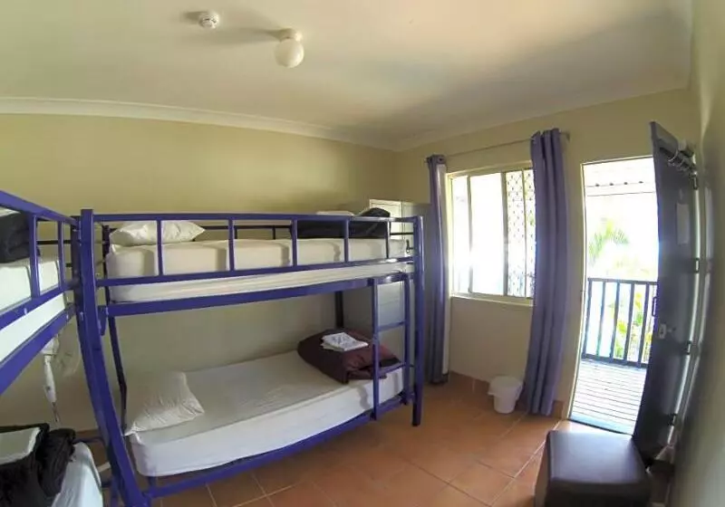 Alberg Budds In Surfers Backpackers