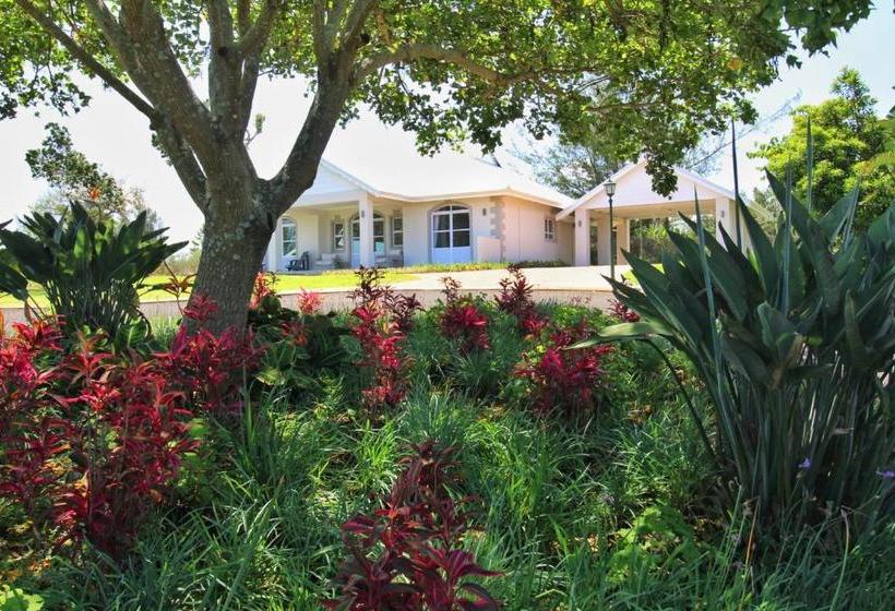 Caribbean Estate Deluxe