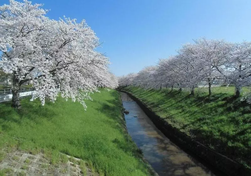 ホテル Allamanda大人の隠れ家リゾート