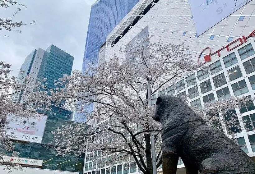 Apa Hotel Shibuya Dogenzakaue