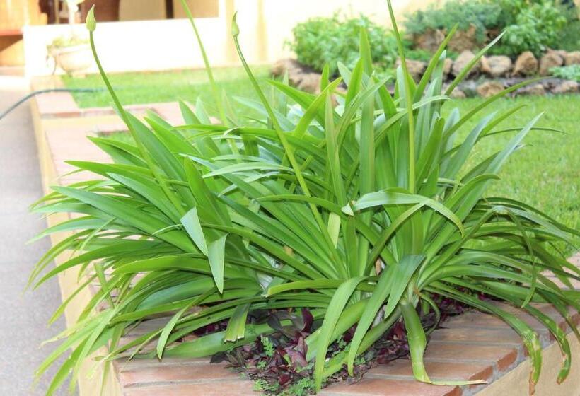 호텔 Casa Mia Lodge & Restaurant