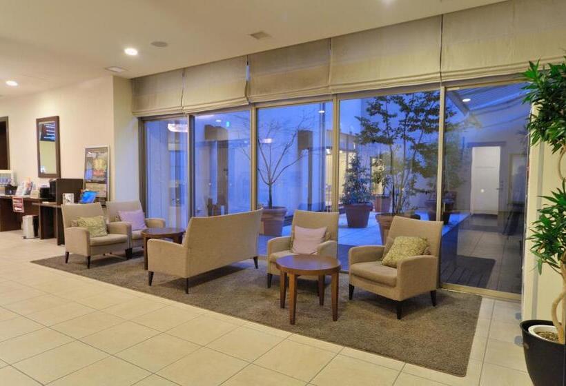 בית מלון כפרי Dormy Inn Express Koriyama