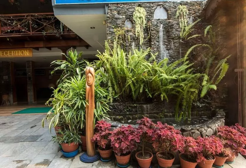 هتل Peace Plaza