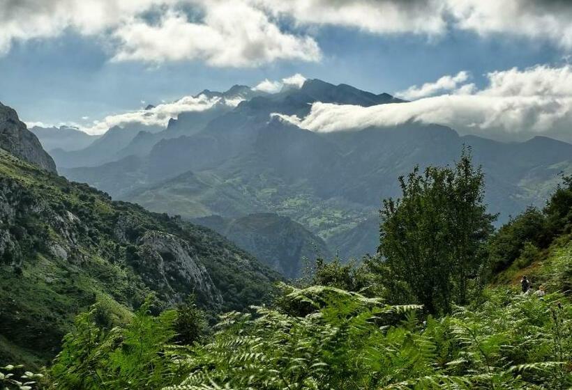 בית מלון כפרי Posada Valle Del Oso