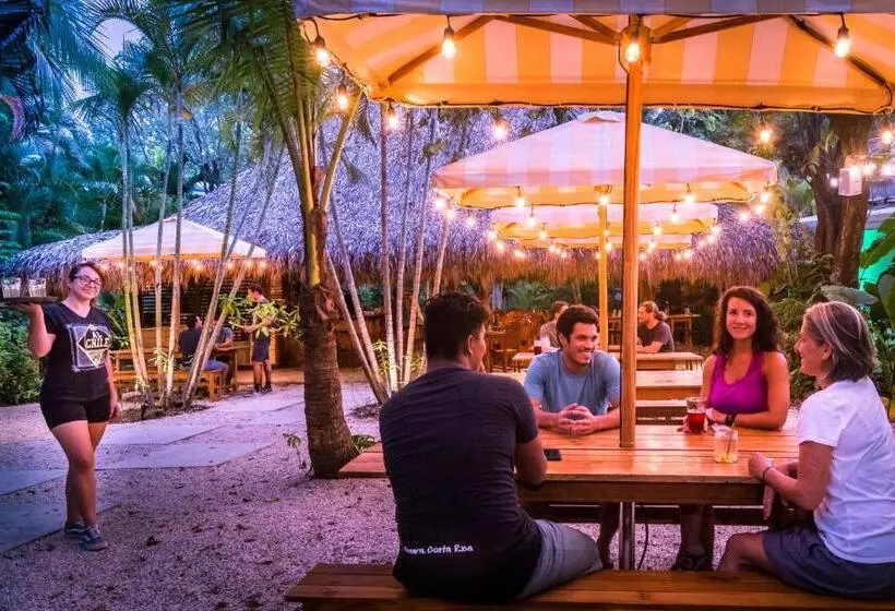 Hôtel The Sunset Shack