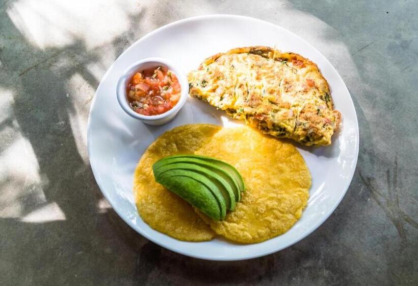 酒店 The Sunset Shack