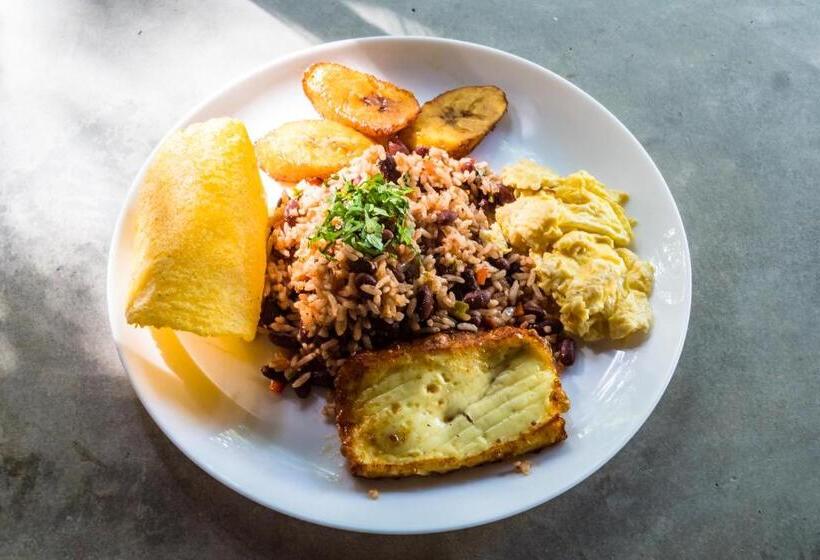 酒店 The Sunset Shack