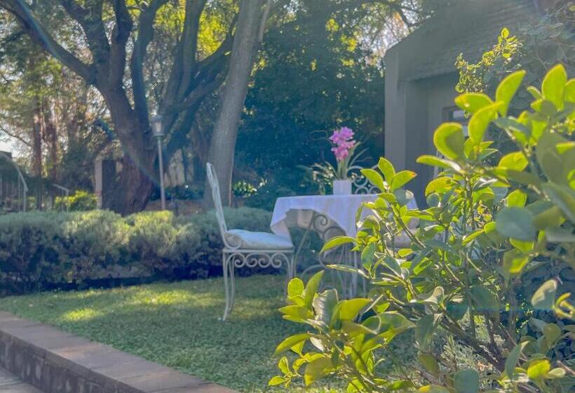 ペンション Amoris Guesthouse In Waterkloof Ridge