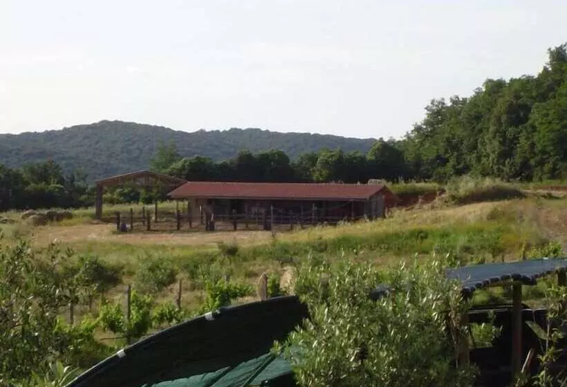 ホテル Borgognano Farm House