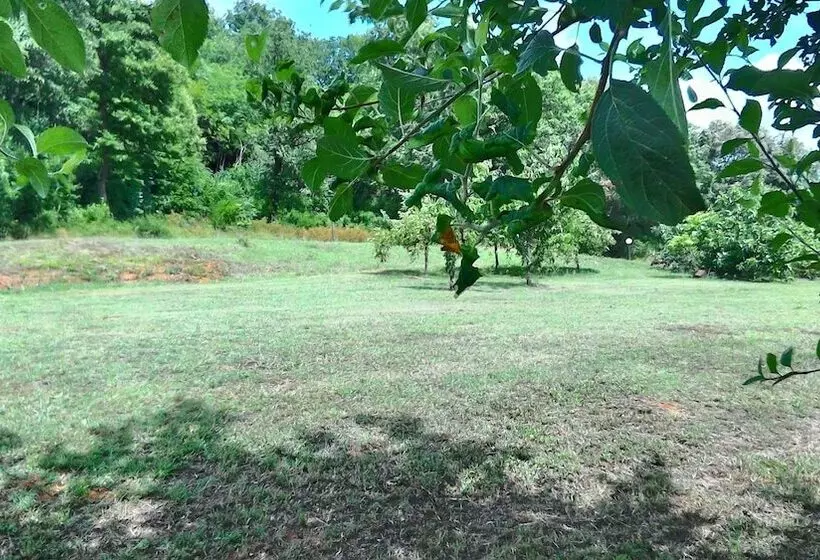 ホテル Borgognano Farm House