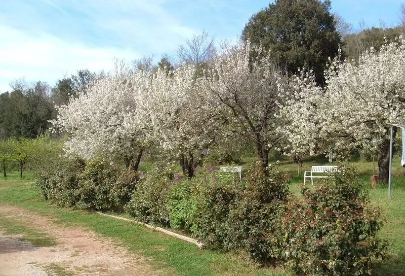 ホテル Borgognano Farm House