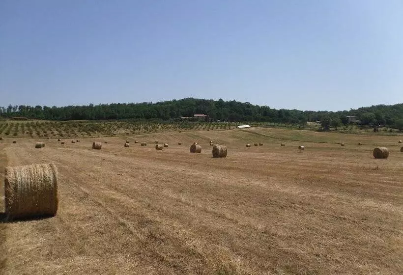 ホテル Borgognano Farm House