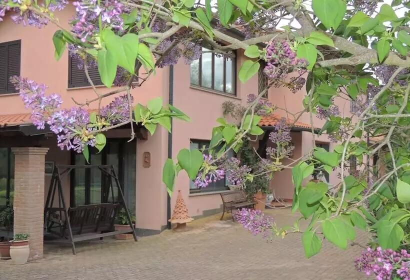 ホテル Borgognano Farm House