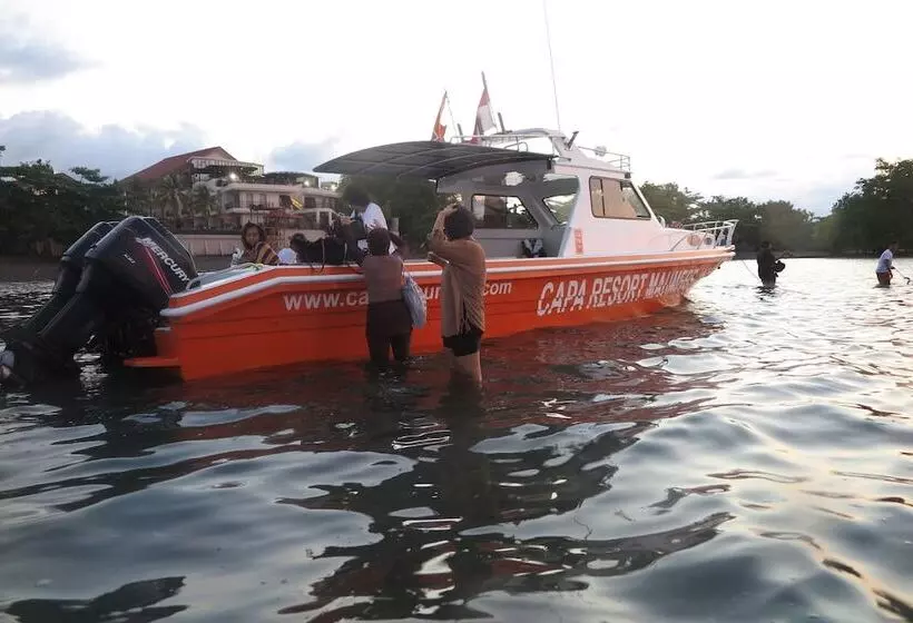 فندق Capa Maumere