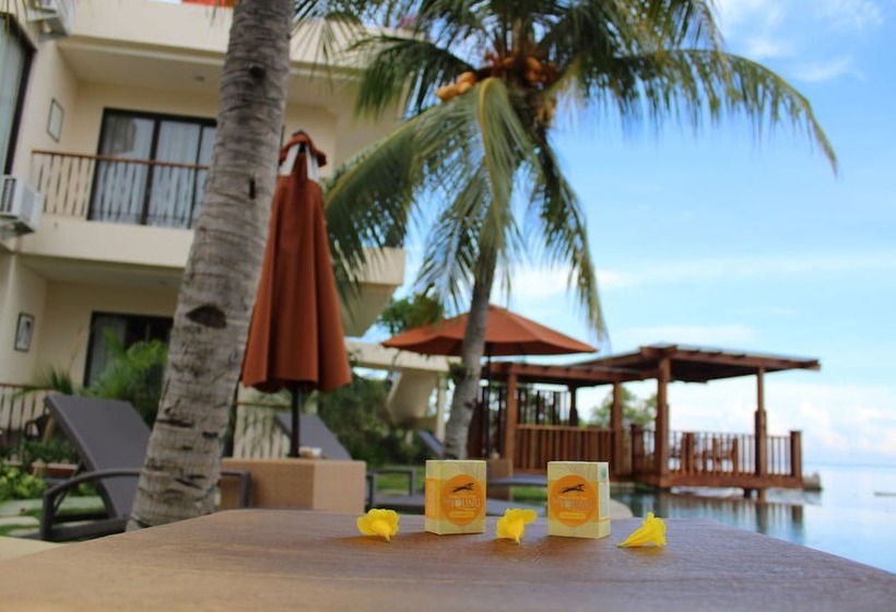 בית מלון כפרי Capa Maumere