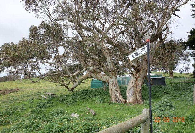 호텔 Morella Farmstay