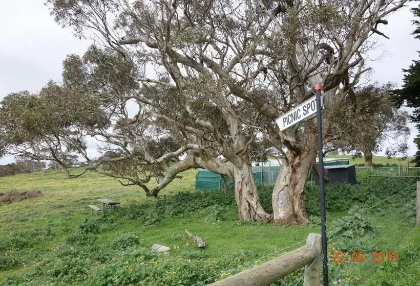 فندق Morella Farmstay