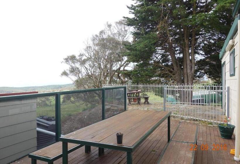 호텔 Morella Farmstay