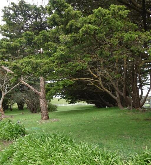 호텔 Morella Farmstay