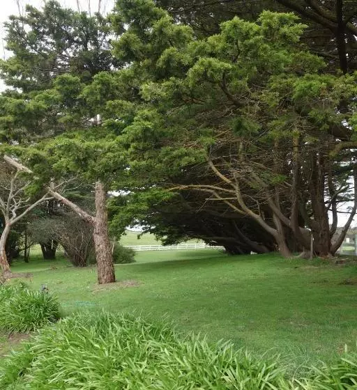 فندق Morella Farmstay