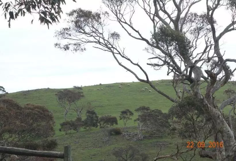 فندق Morella Farmstay