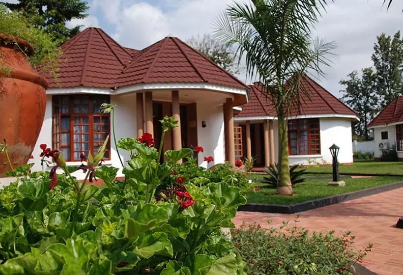 Salinero Hotels Kilimanjaro