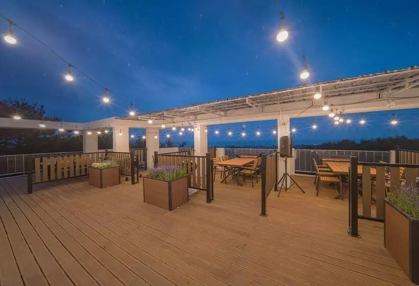 Отель Zio Pinetree